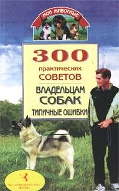 Владимир Круковер 300 практических советов владельцам собак. Типичные ошибки обложка книги