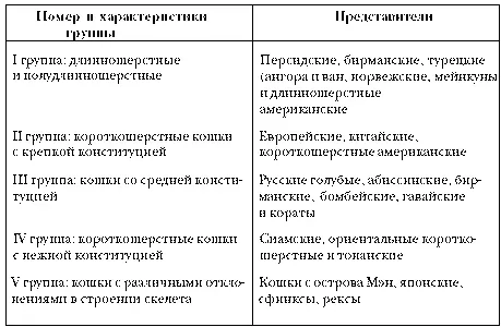 Породы кошек мало различаются размерами и пропорциями отдельных частей тела - фото 3