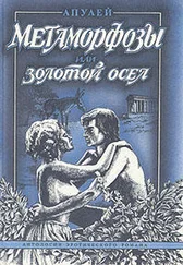Луций Апулей - Метаморфозы, или Золотой осел