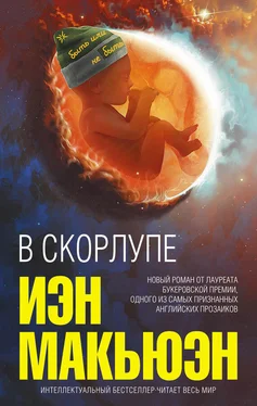 Иэн Макьюэн В скорлупе обложка книги