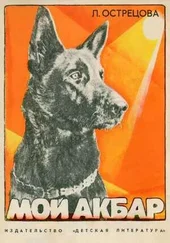 Лидия Острецова - Мой Акбар