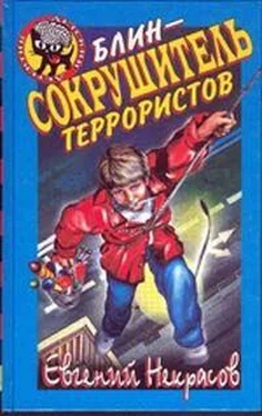 Евгений НЕКРАСОВ Блин – сокрушитель террористов обложка книги