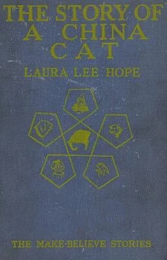 Laura Hope The Story of a China Cat обложка книги