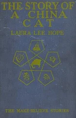 Laura Hope - The Story of a China Cat