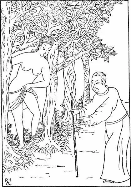 A GIRL SURPRISED IN A MULBERRY BUSH Do you think judge Dee interrupted - фото 11