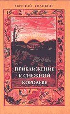 Евгений Головин Приближение к Снежной Королеве обложка книги