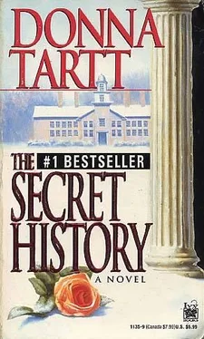 Donna Tartt The Secret History обложка книги