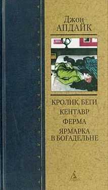 Джон Апдайк Ферма обложка книги