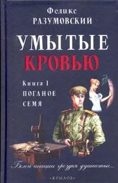 Феликс Разумовский Умытые кровью. Книга I. Поганое семя обложка книги