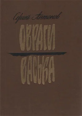 Сергей Антонов Васька обложка книги