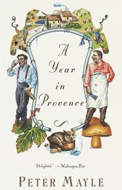 Peter Mayle A Year In Provence обложка книги
