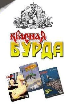 Журнал Бурда Красная Бурда (сборник 1997-98 годов) обложка книги