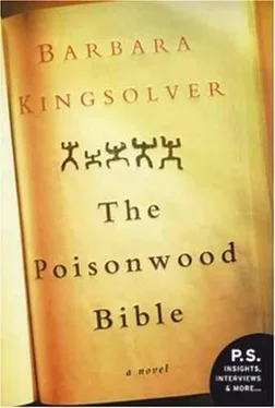 Barbara Kingsolver The Poisonwood Bible обложка книги