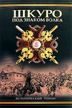 Владимир Рынкевич Шкуро: Под знаком волка обложка книги