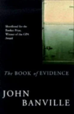 John Banville The Book Of Evidence обложка книги