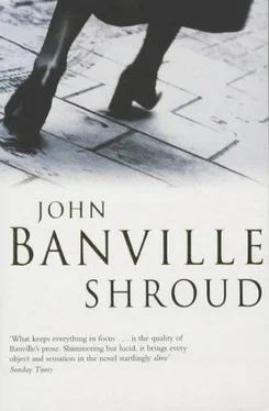 John Banville Shroud обложка книги