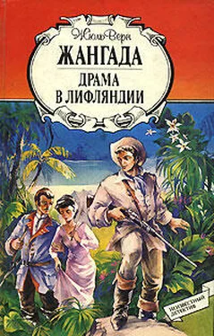 Жюль Верн Драма в Лифляндии обложка книги