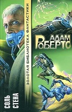 Адам Робертс Стена обложка книги