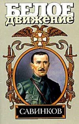 Аркадий Савеличев - Генерал террора