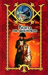 Сергей Шхиян - Боги не дремлют