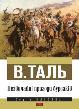 В Таль Незвичайні пригоди бурсаків обложка книги