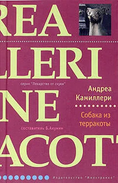 Андреа Камиллери Собака из терракоты обложка книги