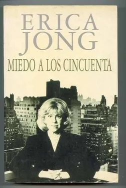 Erica Jong Miedo A Los Cincuenta обложка книги