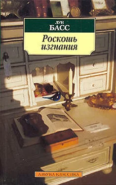 Луи Басс Роскошь изгнания обложка книги