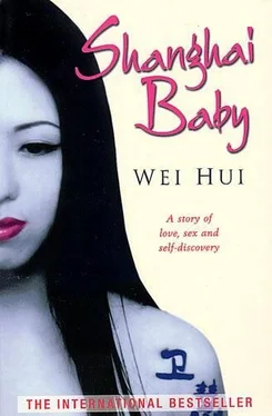 Wei Hui Shanghai Baby обложка книги