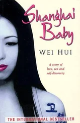 Wei Hui - Shanghai Baby