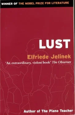 Elfriede Jelinek Lust обложка книги