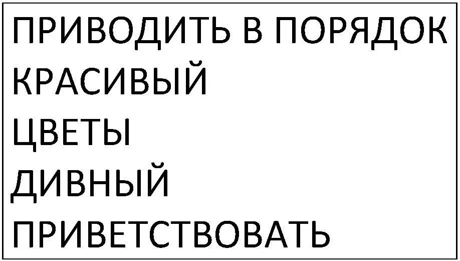 Приведи в порядок свои дела и купи красивые цветы потому что Господь приказал - фото 5