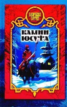 Виктория Дьякова Камни Юсуфа обложка книги