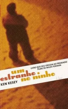 Ken Kesey Um Estranho No Ninho обложка книги