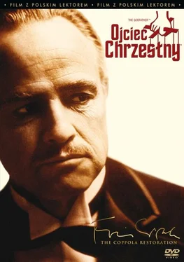 Mario Puzo Ojciec Chrzestny обложка книги