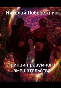 Николай Побережник Принцип разумного вмешательства [СИ] обложка книги