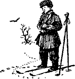 Снежная книга - фото 7