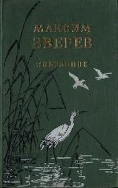 Максим Зверев По родному краю обложка книги