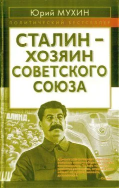 Юрий Мухин Сталин - хозяин СССР обложка книги