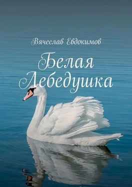 Вячеслав Евдокимов Белая Лебедушка [сборник] обложка книги