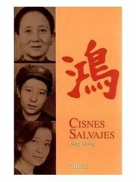 Jung Chang Cisnes Salvajes обложка книги