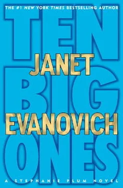 Janet Evanovich Ten Big Ones обложка книги