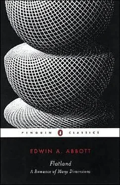 Edwin Abbott Flatland: A Romance of Many Dimensions обложка книги