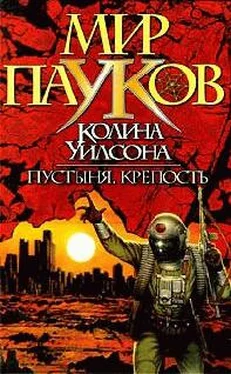 Колин Уилсон Пустыня обложка книги