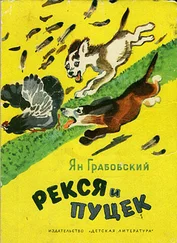 Ян Грабовский - Рекся и Пуцек