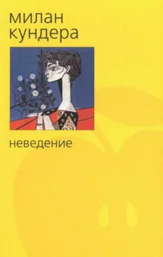 Милан Кундера Неведение обложка книги