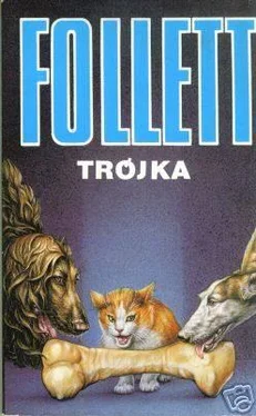 Ken Follett Trójka обложка книги