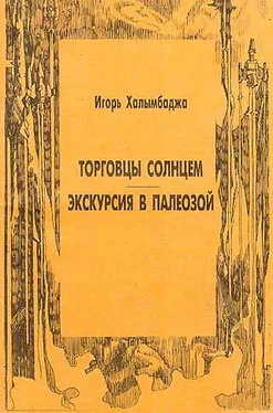 Игорь Халымбаджа Торговцы солнцем обложка книги