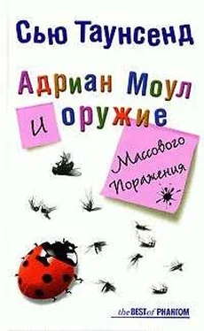 Сью Таунсенд Адриан Моул и оружие массового поражения обложка книги