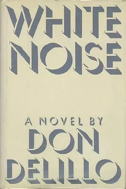 Don DeLillo White Noise обложка книги